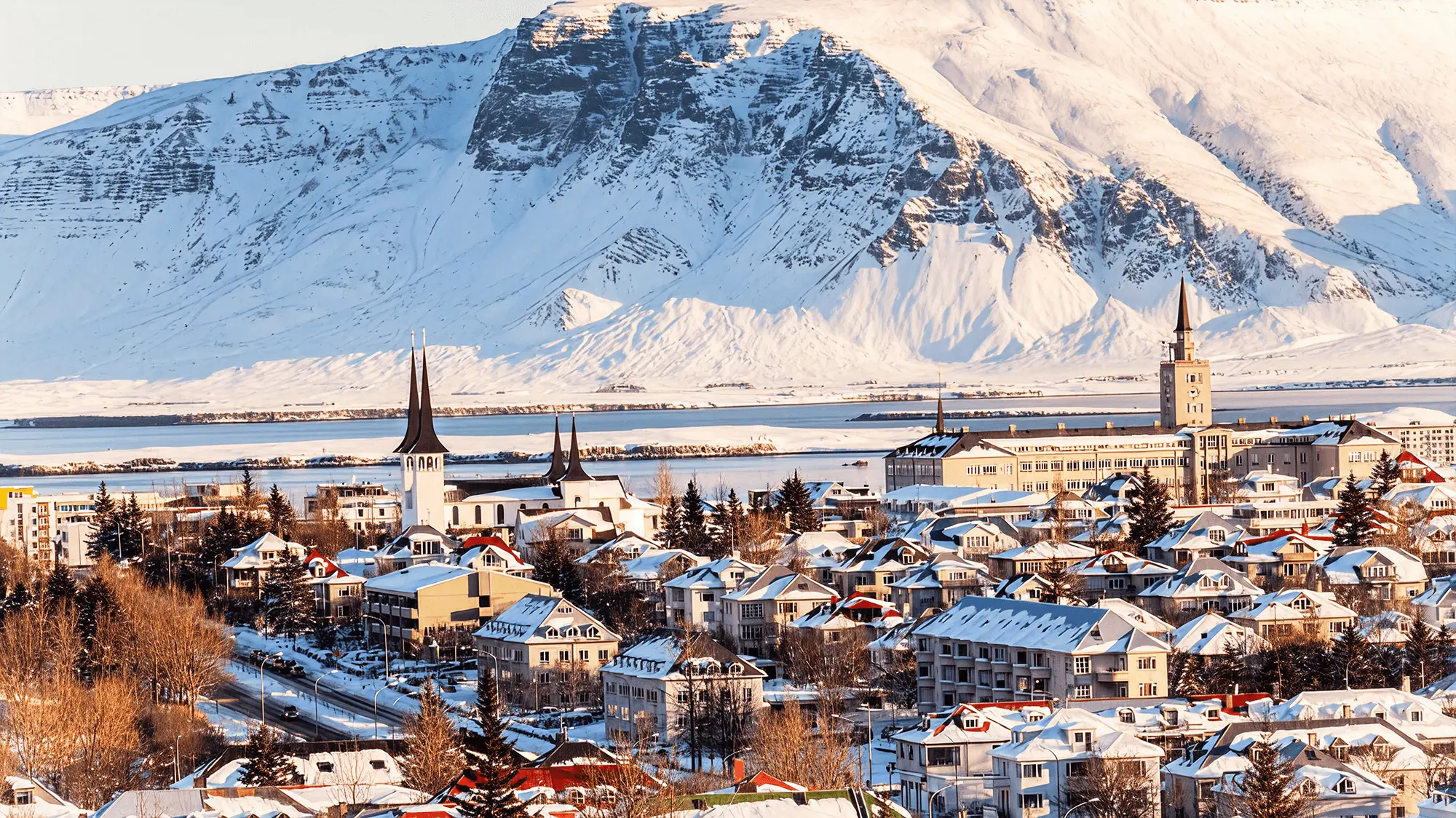 Flight to Reykjavik
