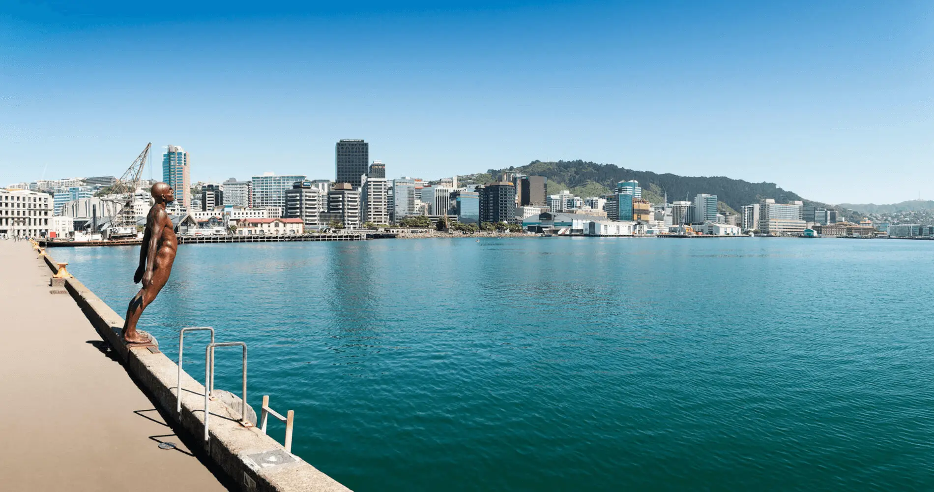 Flight to Wellington